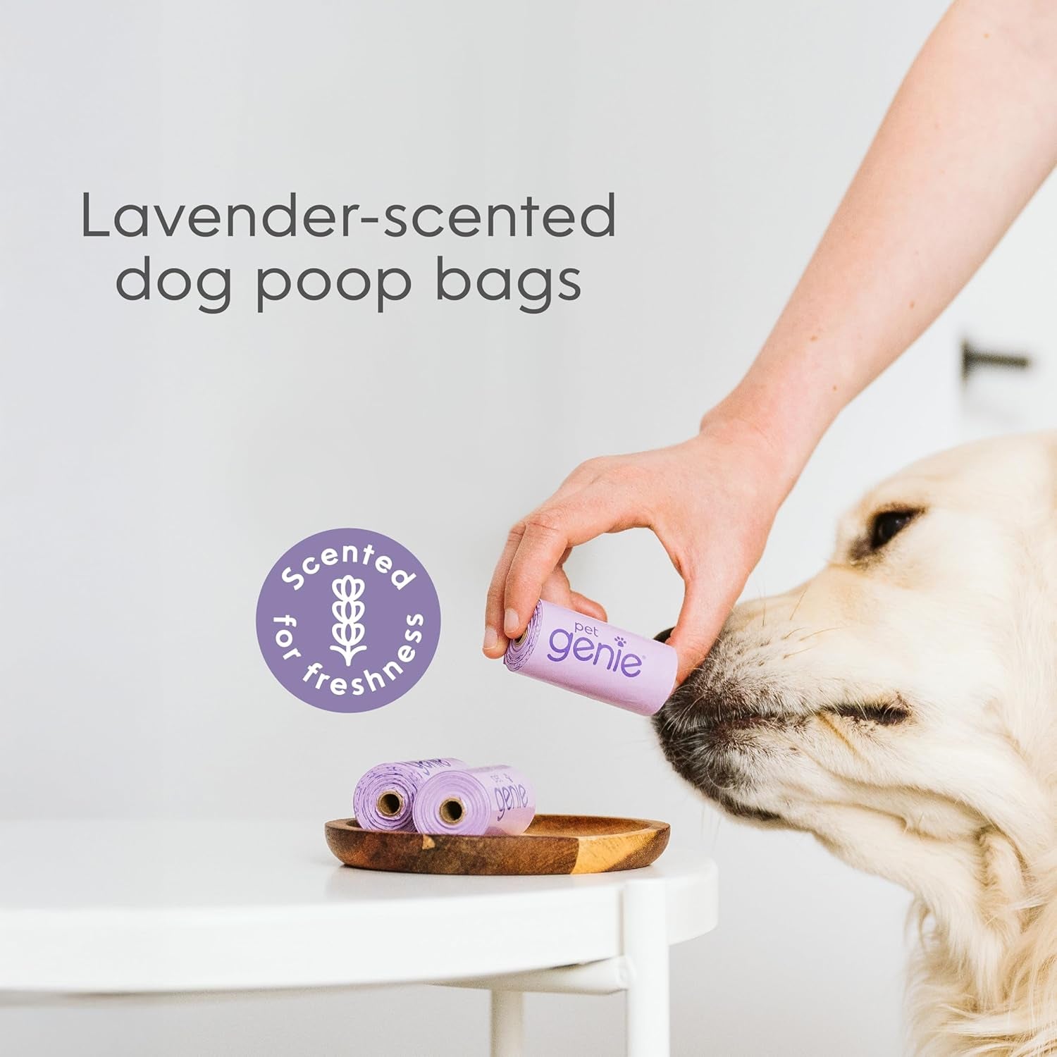 , Dog Poop Bags Rolls Scented, Extra Strong & Leak-Proof for Dogs, Lavender Scented, Easy Tear Pet Waste Bags, Made from 65% Recycled Plastic, 16 Rolls (240 Count)