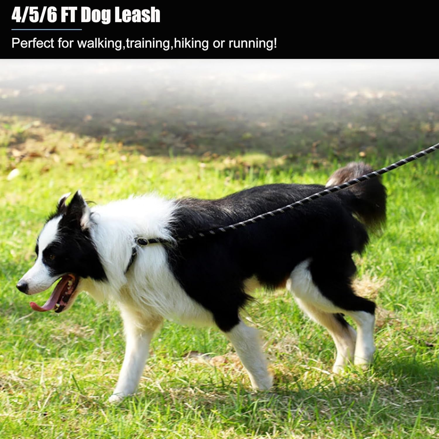 2 Pack Dog Leash, 4/5//6 FT Heavy Duty Nylon Rope Pet Leashes with Comfortable Padded Handle, Reflective Dog Leashes for Small Medium and Large Dogs (4Ft-1/2,Black/Black)