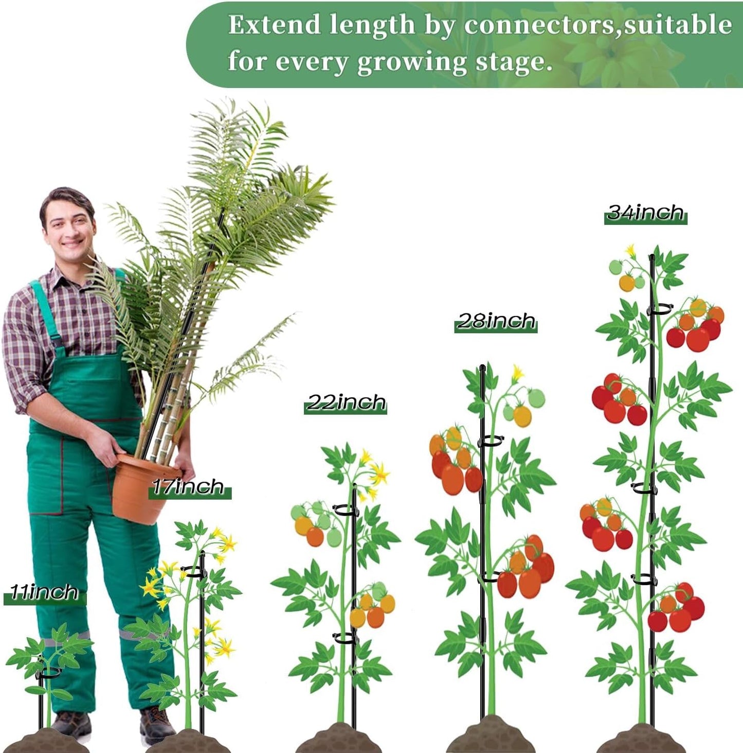 Plant Stakes 17Inch &11Inch  Adjustable Length Plant Support Stake 16Pcs Black Orchid Stick with Clips for Indoor Outdoor,Garden Pole for Potted Tomato Amaryllis Vegetables with 20 Ties