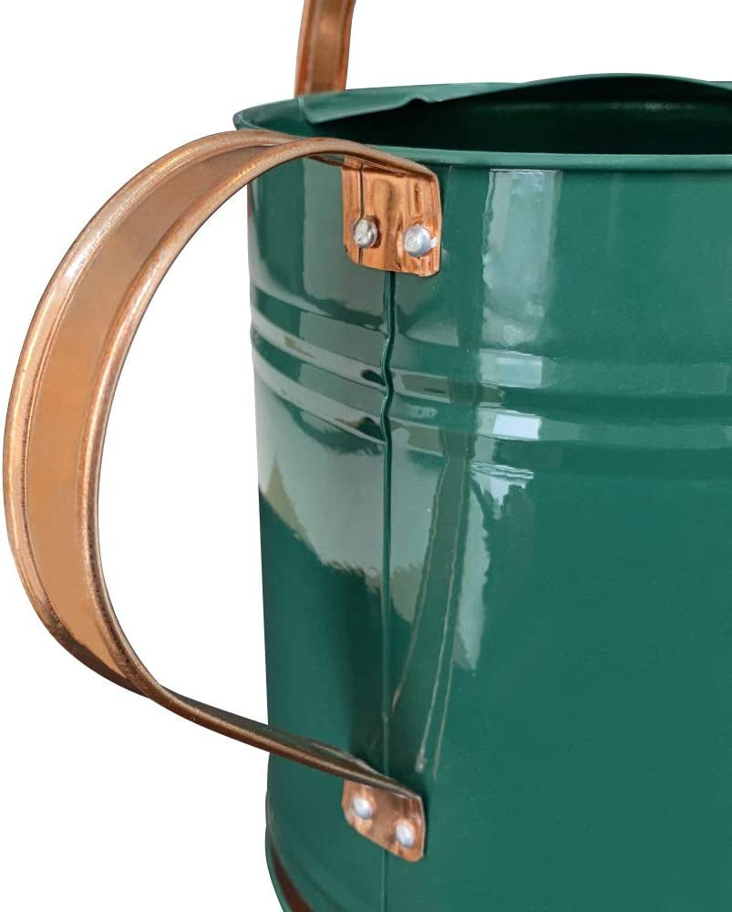 Metal Watering Can for Outdoor and Indoor Plants, Watering Can Decor, 1 Gallon (1 Gallon Green2)