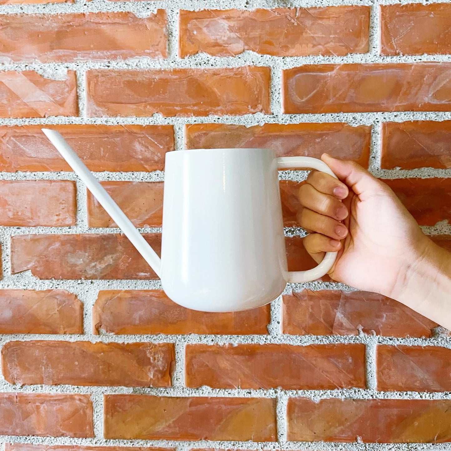 Metal Watering Can for Indoor Houseplants Outdoor Garden Long Sprout Water Can for Succulents Herb Bonsai Modern Garden Tool 33.8Oz/1000Ml (Brilliant White)