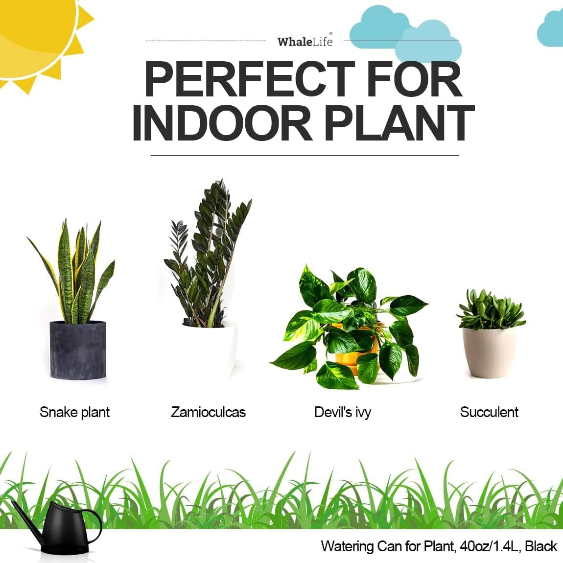 Indoor Watering Can for House Bonsai Plants (1.4L, Black)