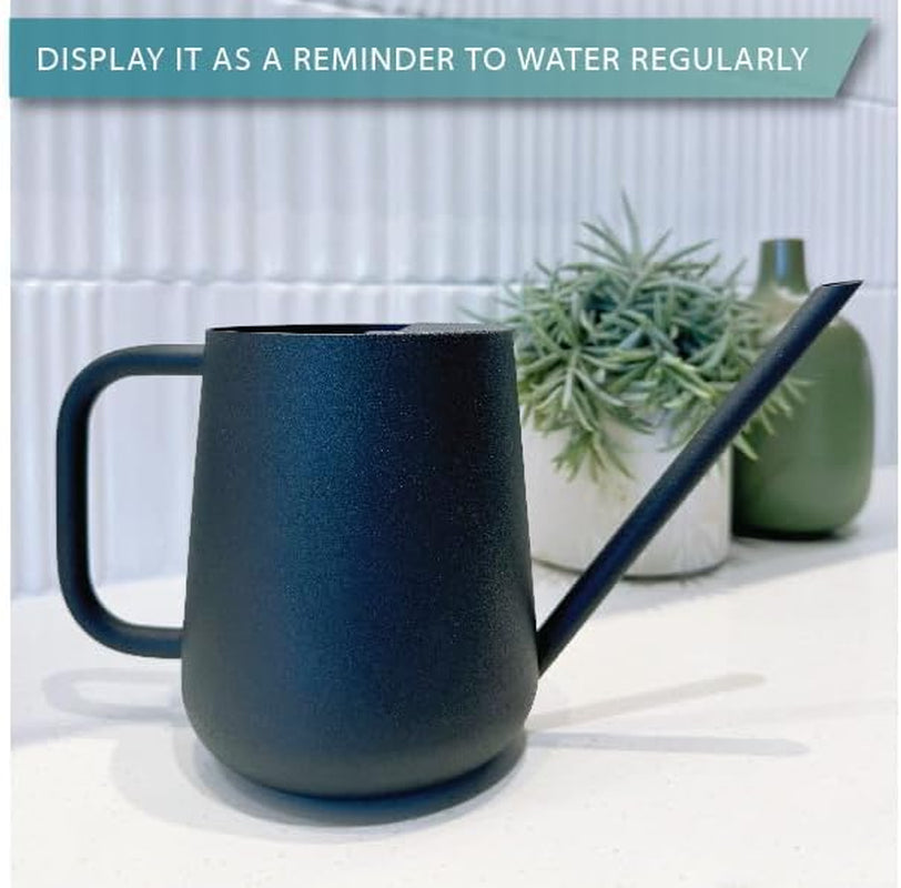 Metal Watering Can for Indoor Houseplants Outdoor Garden Long Sprout Water Can for Succulents Herb Bonsai Modern Garden Tool 33.8Oz/1000Ml (Dashing Black)