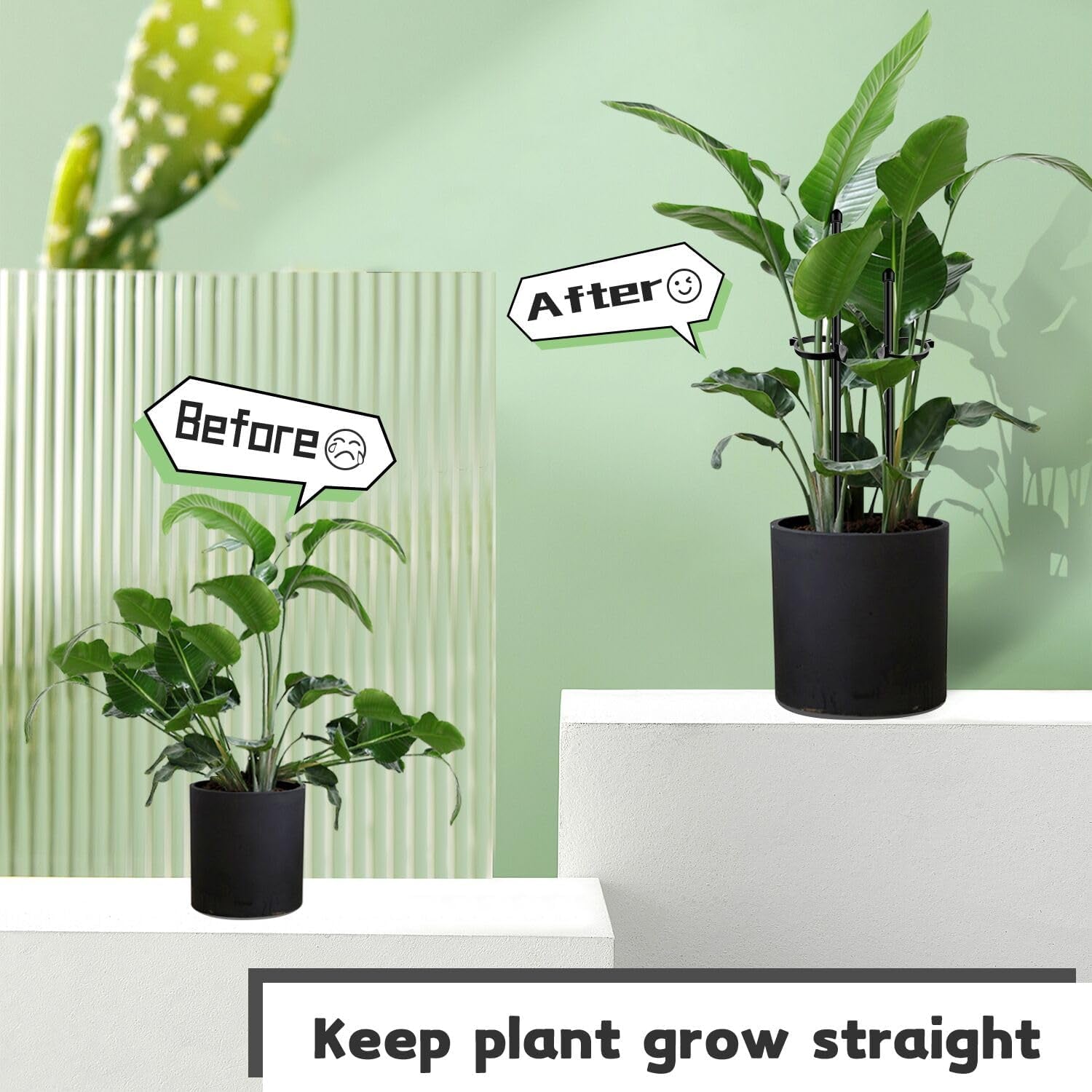 Plant Stakes 17Inch &11Inch  Adjustable Length Plant Support Stake 16Pcs Black Orchid Stick with Clips for Indoor Outdoor,Garden Pole for Potted Tomato Amaryllis Vegetables with 20 Ties