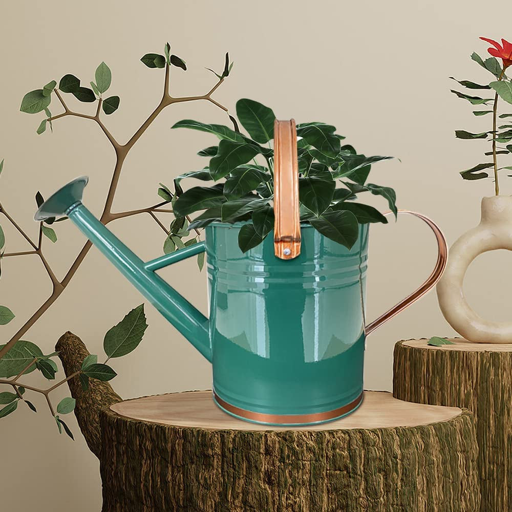 Metal Watering Can for Outdoor and Indoor Plants, Watering Can Decor, 1 Gallon (1 Gallon Green2)