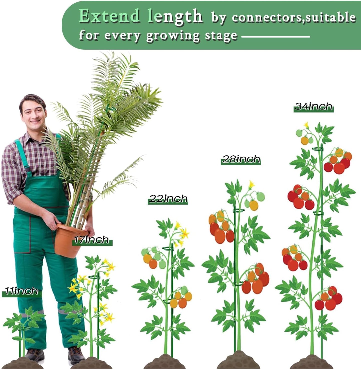 Plant Stakes 17Inch &11Inch  Adjustable Length Plant Support Stake 16Pcs Green Orchid Stick with Clips for Indoor Outdoor,Garden Pole for Potted Tomato Amaryllis Vegetables Comes with 20 Ties