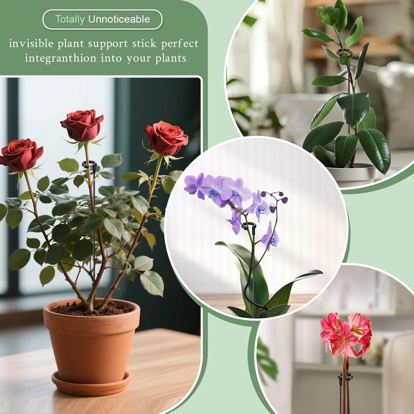 Orchid Sticks 17 Inch &11 Inch  16Pcs Plant Stakes with Clips for Support Small Short Plants,Garden Stakes Support Poles Rods Suit for Potted Plants Flowers Seedling (Black)