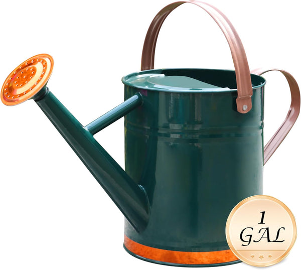 Metal Watering Can for Outdoor and Indoor Plants, Watering Can Decor, 1 Gallon (1 Gallon Green2)