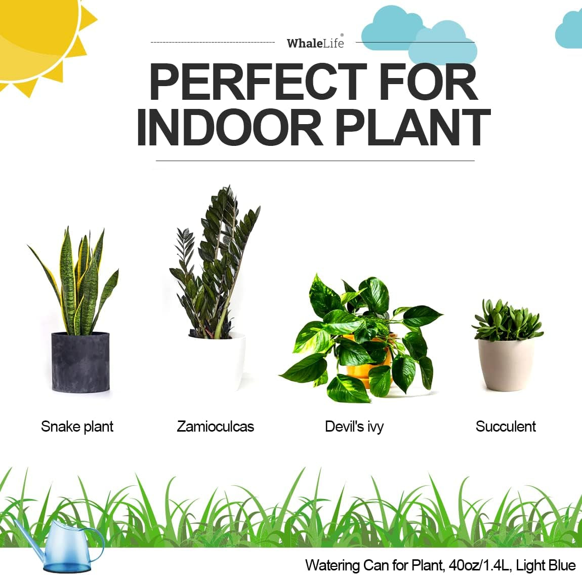 Indoor Watering Can for House Bonsai Plants (1.4L, Light Blue)