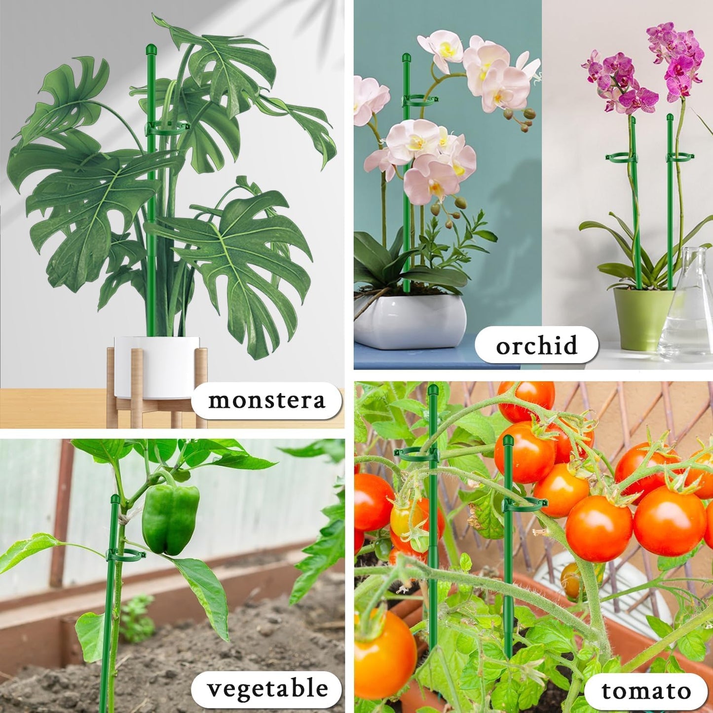 Plant Stakes 17Inch &11Inch  Adjustable Length Plant Support Stake 16Pcs Green Orchid Stick with Clips for Indoor Outdoor,Garden Pole for Potted Tomato Amaryllis Vegetables Comes with 20 Ties